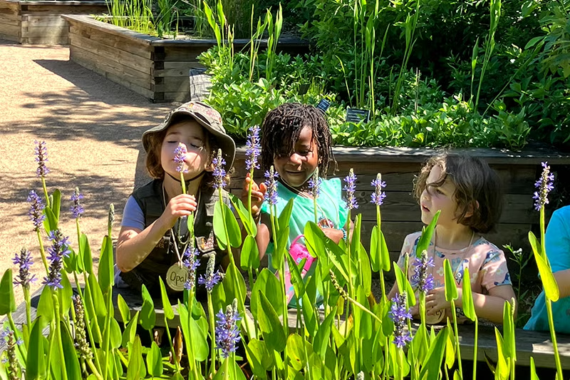 Three kids in the garden.