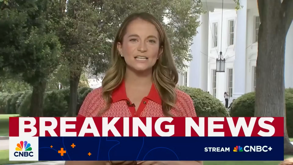 Screenshot of Megan Cassella on TV.